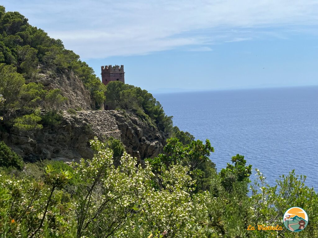 Isola di Gorgona